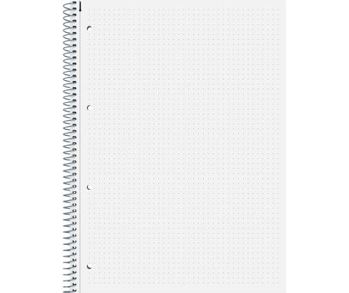 Kaustik spiraalköites A4 täpisisu BRUNNEN Student perf.-ga kartongkaaned 80 lehte