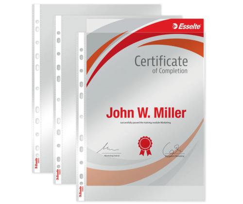 Kiletasku köidetav A4 ESSELTE 105mic ülevalt avatud kirgas 100tk