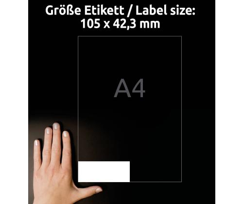 Kleebisetikett AVERY Zweckform 105x42,3mm 100 lehte (3653)