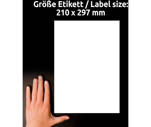 Kleebisetikett AVERY Zweckform Heavy Duty 210x297mm 100 lehte ilmastikukindel (L4775-100)