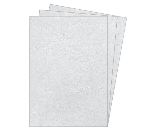 Köitekartong FELLOWES A4, valge 100 lehte