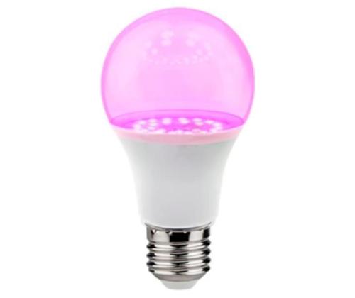 Light Bulb VISIONAL Power consumption 15 Watts AC 220-240V Beam angle 270 degrees 04-199