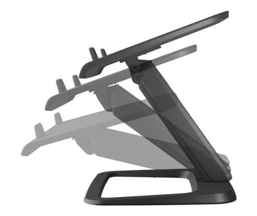 NB ACC STAND HANA LT/BLACK 100016994 FELLOWES