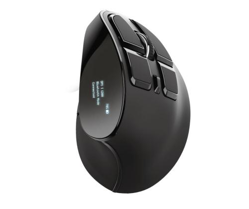 MOUSE USB OPTICAL ERGONOMIC/VOXX 23731 TRUST