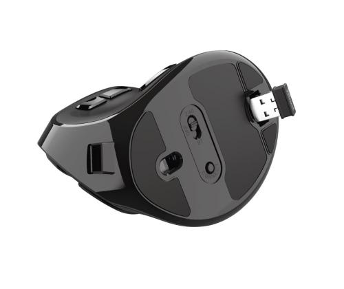 MOUSE USB OPTICAL ERGONOMIC/VOXX 23731 TRUST