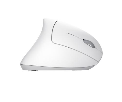 MOUSE USB OPTICAL WRL VERTO/ERGONOMIC WHITE 25132 TRUST