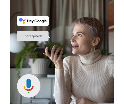 TV SET LCD 40"/40FG2S15W THOMSON