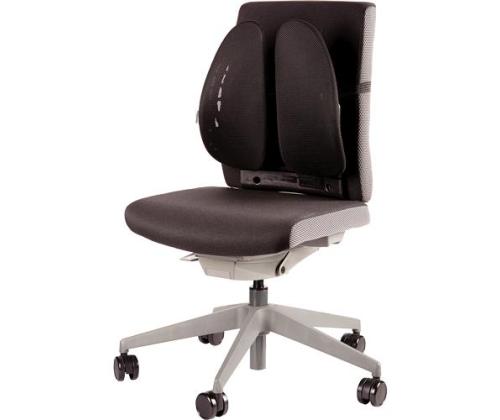 CHAIR BACK SUPPORT/BACK ANGEL 8026401 FELLOWES