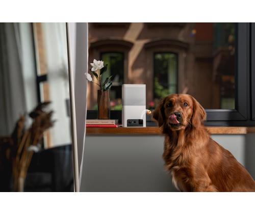 WRL CAMERA BITES 2 LITE/BL10US PETCUBE