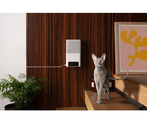 WRL CAMERA BITES 2 LITE/BL10US PETCUBE