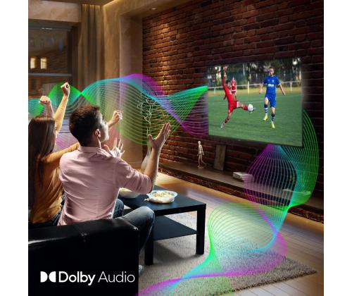 TV Set THOMSON 43 " 4K Ultra HD 1920 x 1080 pixels Flat 16:9 LED 43FD2S13