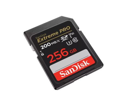 MEMORY SDXC 256GB UHS-1/SDSDXXD-256G-GN4IN SANDISK
