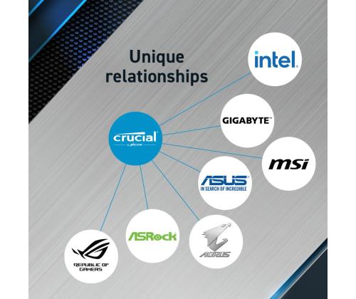 MEMORY DIMM PRO 32GB DDR5-5600/CP32G56C46U5 CRUCIAL