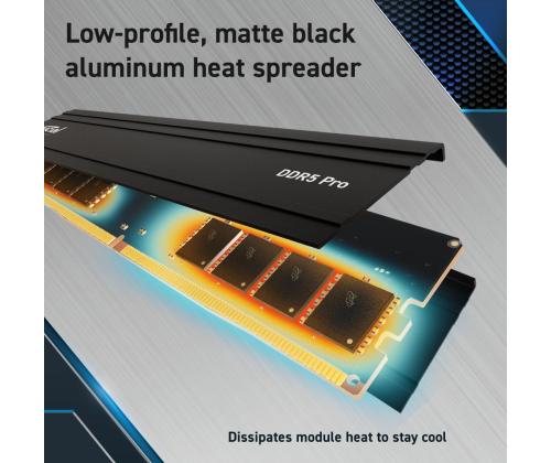 MEMORY DIMM PRO 64GB DDR5-5600/KIT2 CP2K32G56C46U5 CRUCIAL