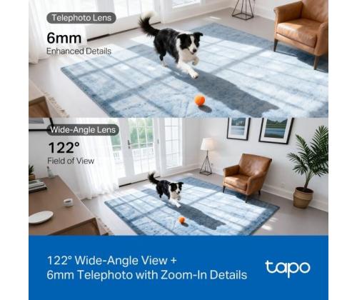 WRL CAMERA PAN/TILT/DUAL TAPO C245D TP-LINK