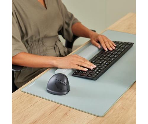 MOUSE USB OPTICAL WRL VERTICAL/ERGO M RT 100143579 FELLOWES