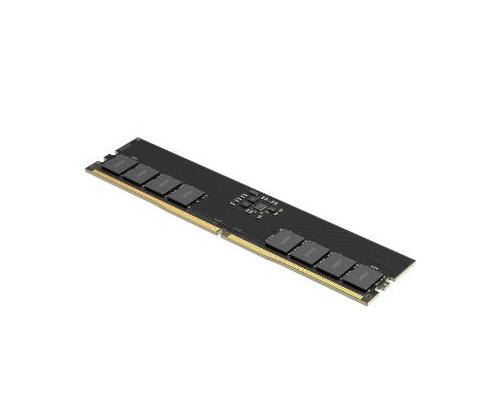 NB MEMORY 32GB DDR5-5600/LD5U32G56C46ST-BGS LEXAR