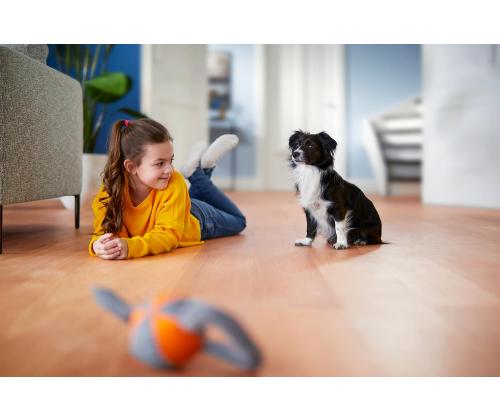 Vacuum Cleaner PHILIPS PowerPro Expert 7000 series Bagless 900 Watts Capacity 2 l Noise 75 dB Black…