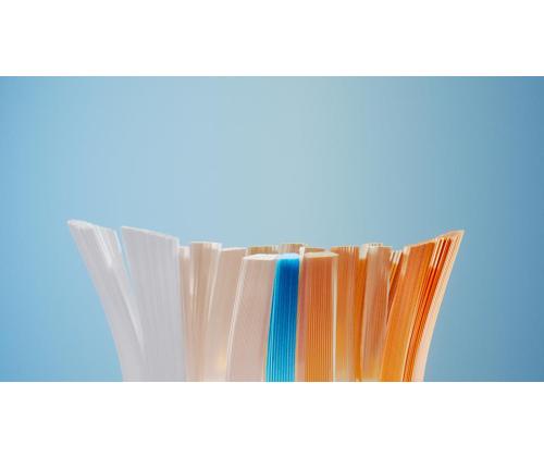 ELECTRIC TOOTHBRUSH ACC HEAD/HX9094/88 PHILIPS