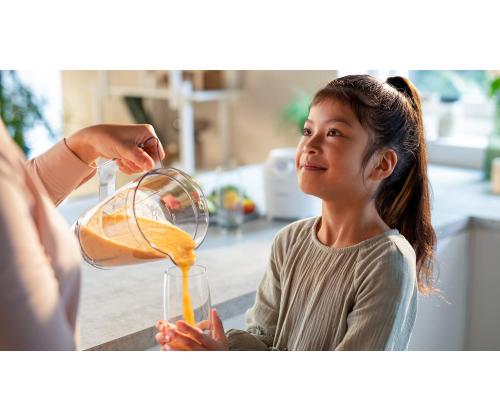 BLENDER/HR2041/00 PHILIPS