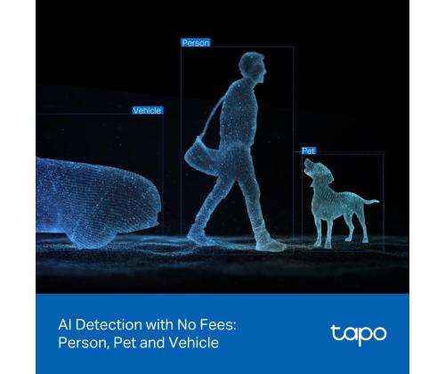 WRL CAMERA PAN/TILT/TAPO C545D TP-LINK