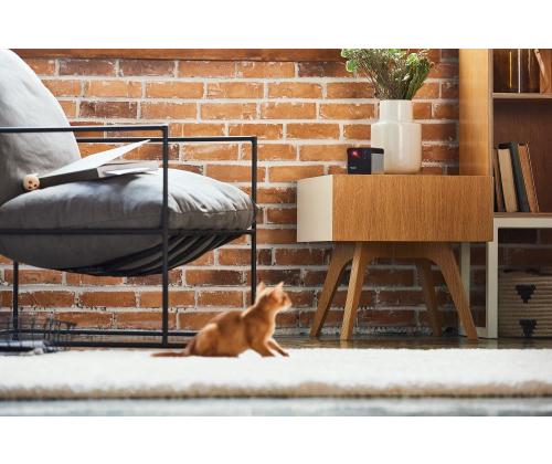 WRL CAMERA PLAY 2/PP20US PETCUBE