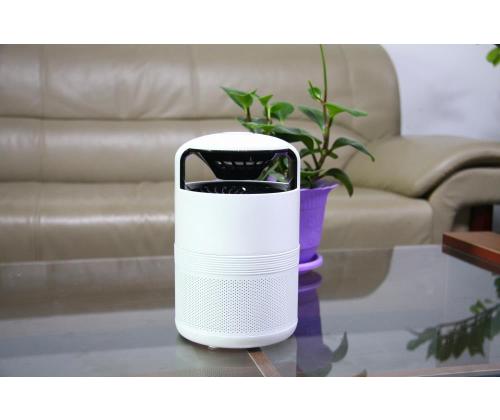 MOSQUITO TRAP PICTORIS/COP001121 STYLIES