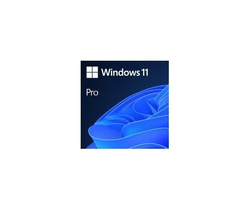 Software MICROSOFT Win 11 Pro 64Bit Eng Intl 1pk DSP OEI DVD Win Pro OEM English FQC-10528