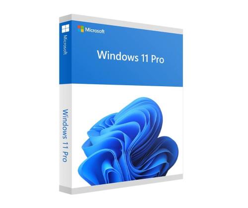 Software MICROSOFT Win Pro FPP 11 64-bit Eng Intl USB Win Pro Retail HAV-00163