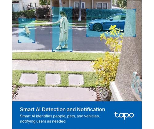 WRL CAMERA 2K QHD/TAPO C420 TP-LINK