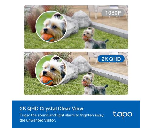WRL CAMERA 2K QHD/TAPO C420 TP-LINK