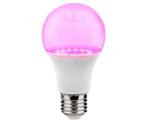 Light Bulb VISIONAL Power consumption 9 Watts AC 220-240V Beam angle 270 degrees TL-A-9W