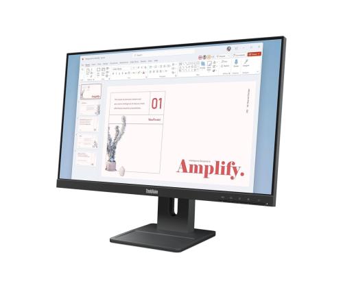 LENOVO ThinkVision E24-40 23.8inch