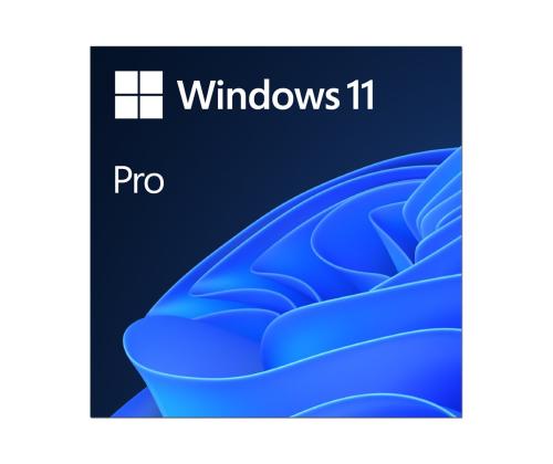 MS ESD Win Pro 11 64-bit