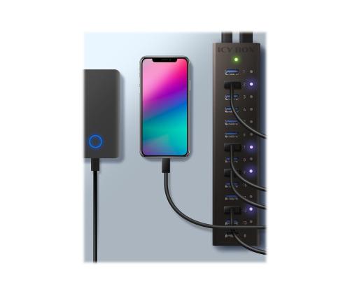 ICYBOX IB-AC6113 IcyBox 13 Port USB 3.0