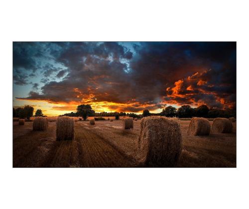 SAMSUNG VM55B-U 55inch Non-touch 16:9