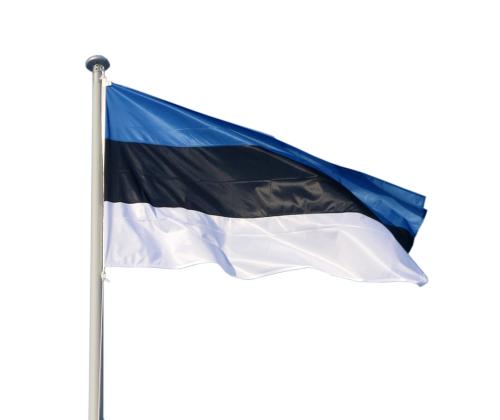 Mastilipp Eesti 105x165cm