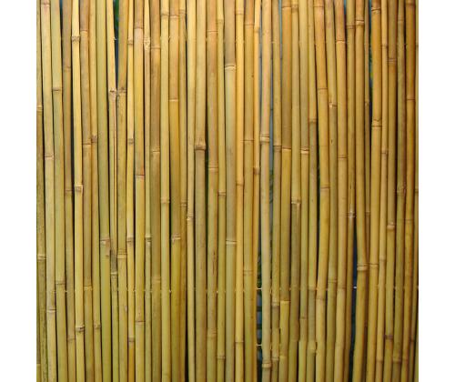 Rull bambusaed IN GARDEN, 1x3m, naturaalne bambus D14/16mm, ühendustraat läbi bambuse