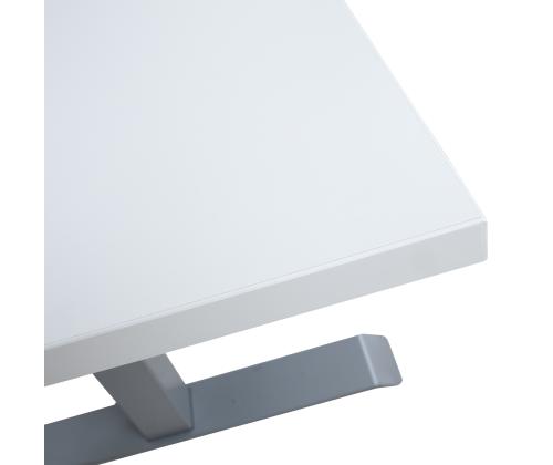 Töölaud ERGO 2-mootoriga 160x80xH60-125cm, hallikasvalge