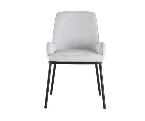 Tool DARCY hallikasvalge