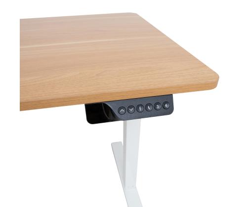Reguleeritav laud ERGO 1-mootoriga 120x60xH73-121cm, valge/tamm