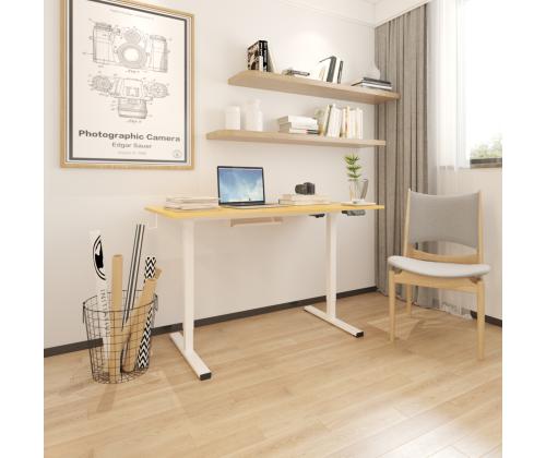 Reguleeritav laud ERGO 1-mootoriga 120x60xH73-121cm, valge/tamm