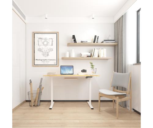 Reguleeritav laud ERGO 1-mootoriga 120x60xH73-121cm, valge/tamm