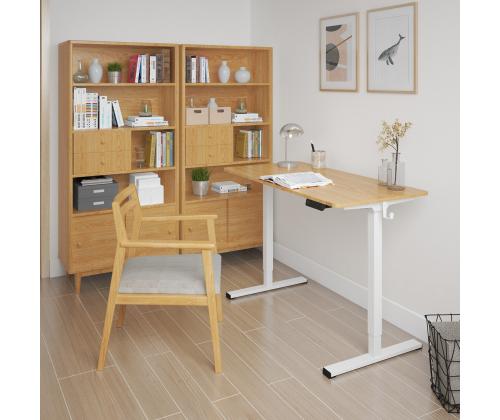 Reguleeritav laud ERGO 1-mootoriga 120x60xH73-121cm, valge/tamm