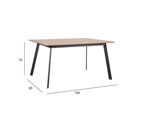 Söögilaud HELENA 160x90xH75cm, tamm
