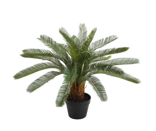 Kunsttaim CYCAS, H70cm, palmlehik, must pott