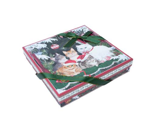 Korrusvaagen MIA CATS 2-ne kinkekarbis