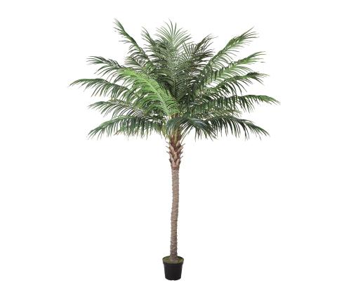 Kunstpuu WIND PALM H260cm