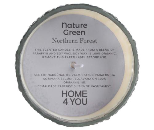 Lõhnaküünal klaasis NATURE GREEN H7,5cm, Northern Forest
