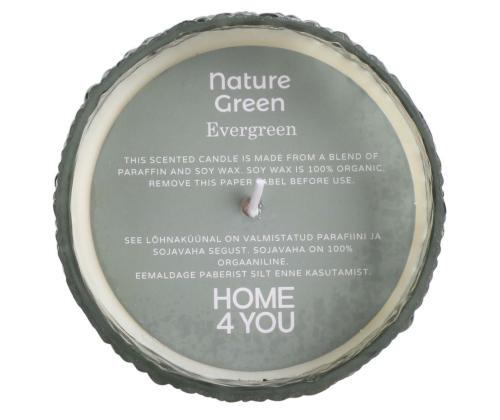 Lõhnaküünal klaasis NATURE GREEN H9cm, Evergreen